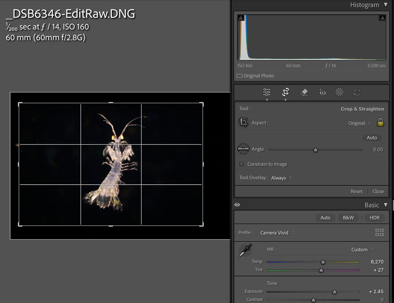 Adjusting white balance, crop, and exposure after returning from Photoshop